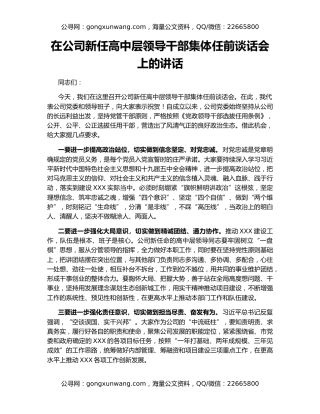 在公司新任高中层领导干部集体任前谈话会上的讲话