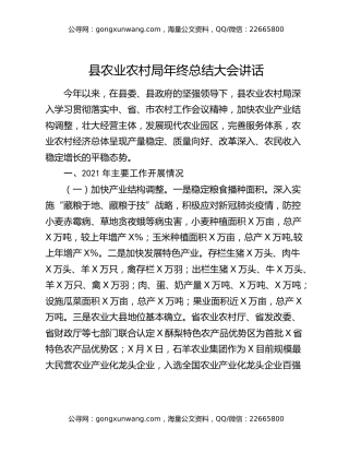 县农业农村局年终总结大会讲话
