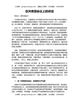 在共青团会议上的讲话