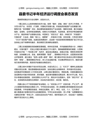 县委书记半年经济运行调度会表态发言