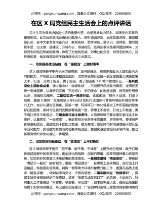 在区X局党组民主生活会上的点评讲话