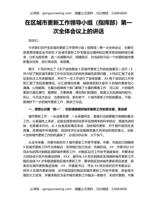 在区城市更新工作领导小组（指挥部）第一次全体会议上的讲话