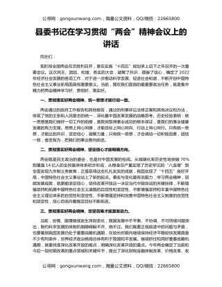 县委书记在学习贯彻“两会”精神会议上的讲话