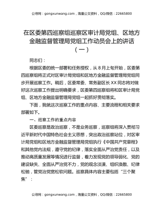 在区委第四巡察组巡察区审计局党组、区地方金融监督管理局党组工作动员会上的讲话（一）