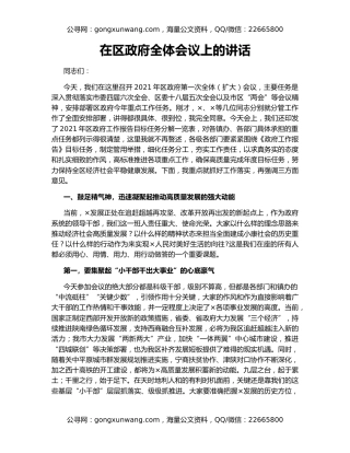 在区政府全体会议上的讲话（2）
