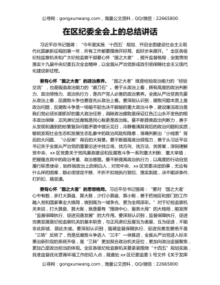 在区纪委全会上的总结讲话