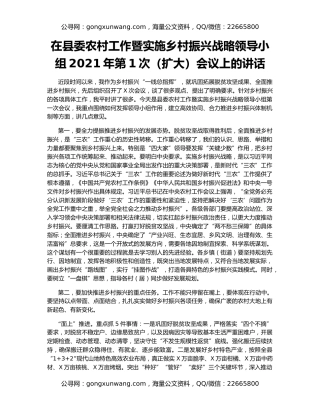 在县委农村工作暨实施乡村振兴战略领导小组2021年第1次（扩大）会议上的讲话