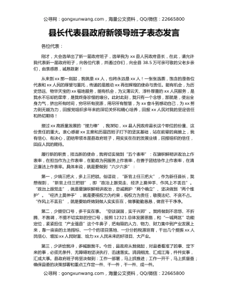 县长代表县政府新领导班子表态发言