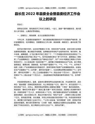 县长在2022年县委全会暨县委经济工作会议上的讲话