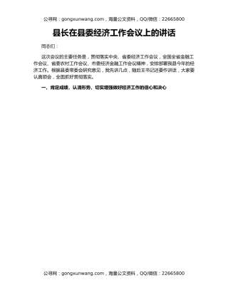 县长在县委经济工作会议上的讲话