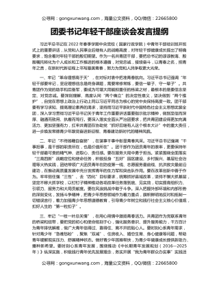 团委书记年轻干部座谈会发言提纲