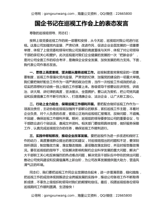 国企书记在巡视工作会上的表态发言