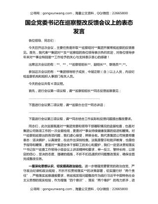 国企党委书记在巡察整改反馈会议上的表态发言