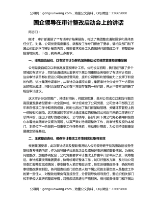 国企领导在审计整改启动会上的讲话