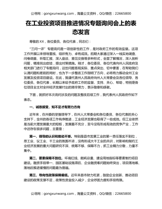 在工业投资项目推进情况专题询问会上的表态发言