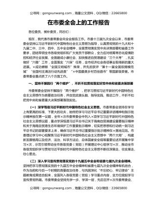 在市委全会上的工作报告