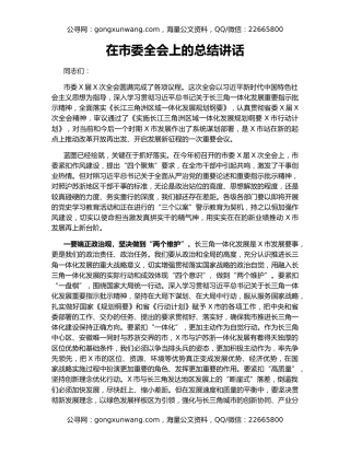 在市委全会上的总结讲话（2）