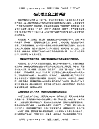 在市委全会上的讲话（2）