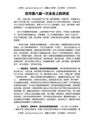 在市委八届一次全会上的讲话（2）