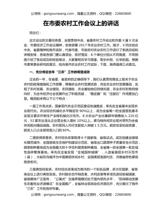 在市委农村工作会议上的讲话（2）