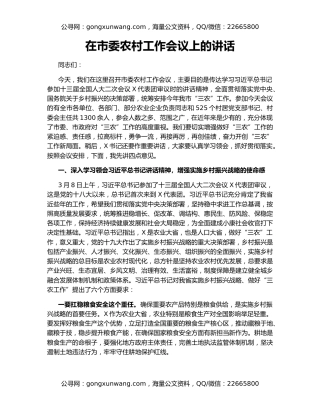 在市委农村工作会议上的讲话（4）