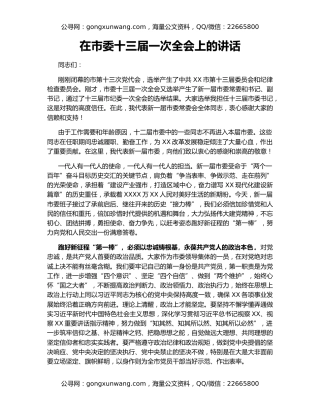 在市委十三届一次全会上的讲话（4）