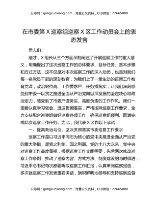 在市委第X巡察组巡察X区工作动员会上的表态发言