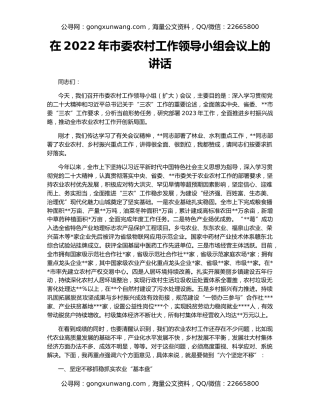 在2022年市委农村工作领导小组会议上的讲话