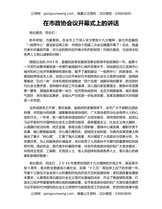 在市政协会议开幕式上的讲话（3）