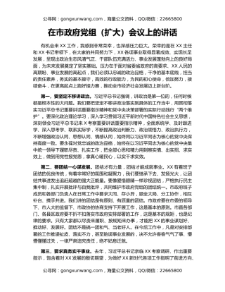 在市政府党组（扩大）会议上的讲话（2）