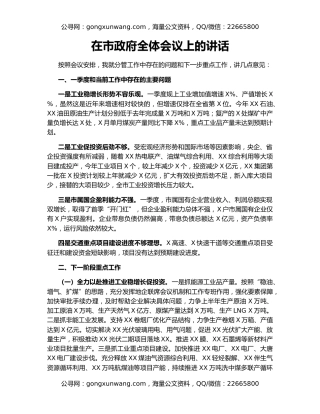 在市政府全体会议上的讲话（4）