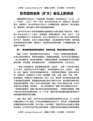 在市政府全体（扩大）会议上的讲话