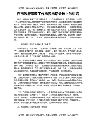 在市政府廉政工作电视电话会议上的讲话