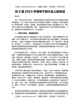 在X县2022年领导干部大会上的讲话