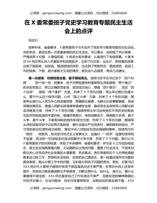 在X委常委班子党史学习教育专题民主生活会上的点评
