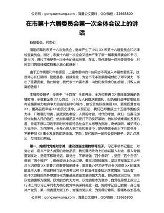 在市第十六届委员会第一次全体会议上的讲话