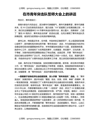 在市青年突击队誓师大会上的讲话