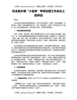 在全县乡镇“小金库”专项治理工作会议上的讲话