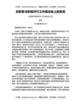 在职务与职级并行工作座谈会上的发言