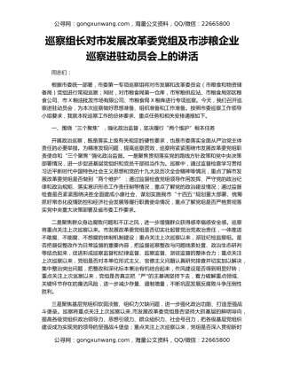巡察组长对市发展改革委党组及市涉粮企业巡察进驻动员会上的讲活