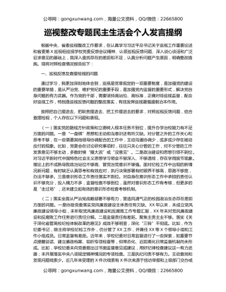 巡视整改专题民主生活会个人发言提纲