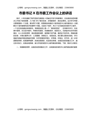 市委书记X在市委工作会议上的讲话