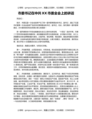 市委书记在中共XX市委全会上的讲话