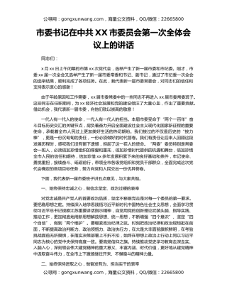 市委书记在中共XX市委员会第一次全体会议上的讲话