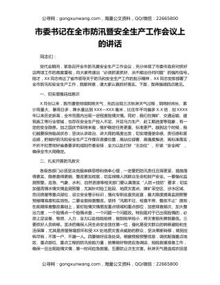 市委书记在全市防汛暨安全生产工作会议上的讲话