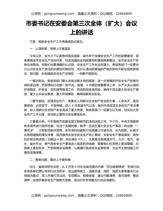 市委书记在安委会第三次全体（扩大）会议上的讲话