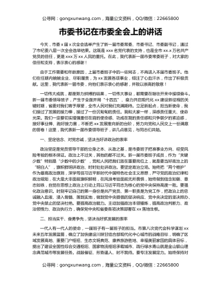 市委书记在市委全会上的讲话（2）