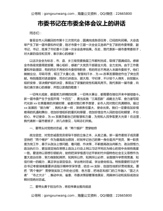 市委书记在市委全体会议上的讲话