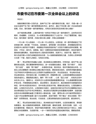 市委书记在市委第一次全体会议上的讲话