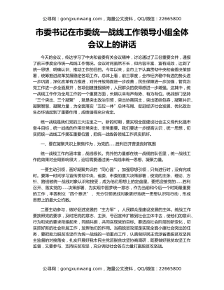 市委书记在市委统一战线工作领导小组全体会议上的讲话